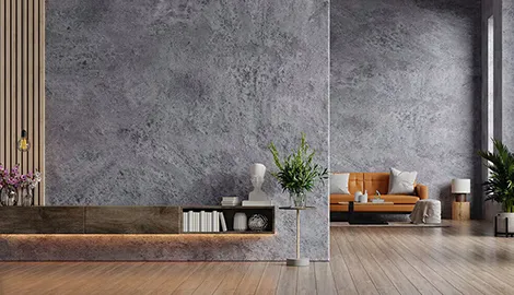 Dholpur Texture Wall Finish - NAYARA PAINTS